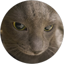 Skoxee profile picture