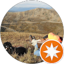 SouTex Traveler profile picture