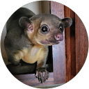 amanda vaughn profile picture